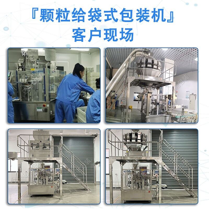 給袋式顆粒（lì）包裝機